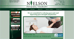 Desktop Screenshot of nielsonpt.com